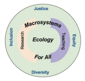 conceptual diagram of the Macrosystems Ecology For All (MEFA) RCN structure of research and teaching network, emphasizing justice, equity, diversity, and inclusion